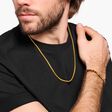 Venezia chain gold plated Thickness 4.00 mm &#40;0.16 Inch&#41; from the  collection in the THOMAS SABO online store
